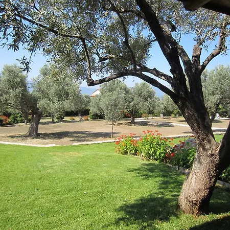 Alilea Villa Politika Exterior photo